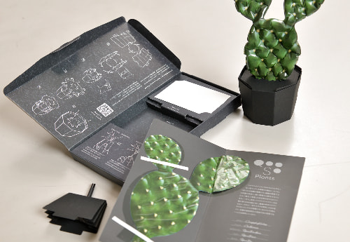 「植物の標本」をイメージし、台座や空気入れも小さく収納してギフト用に郵送できるようにした